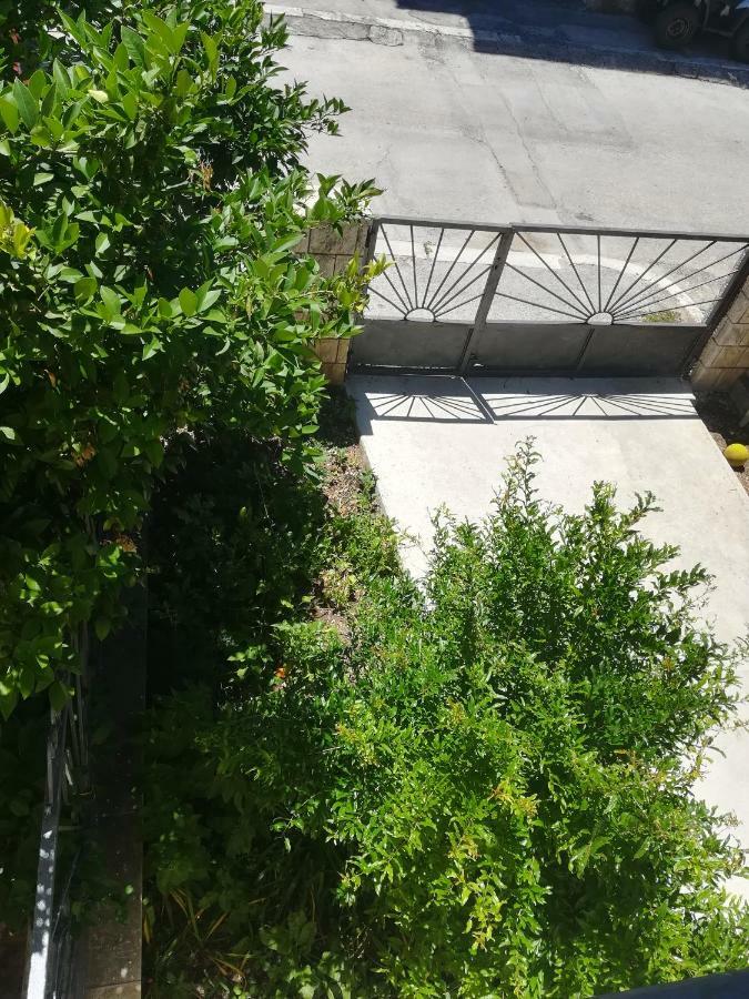 Pensionat Park Marjan